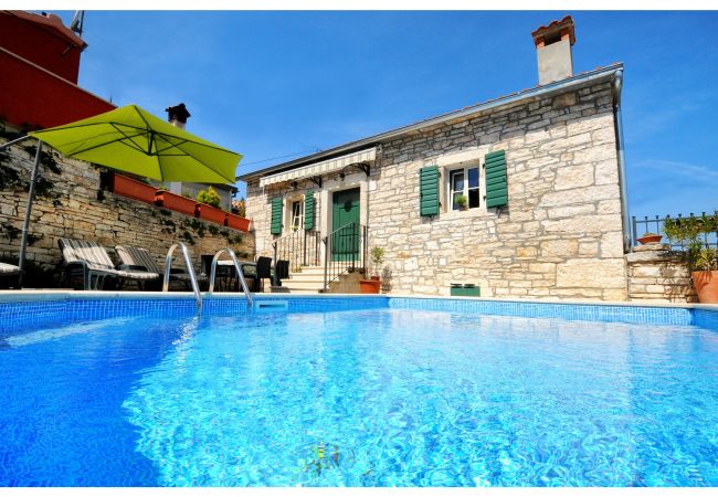 Villa in Tinjan - Casa Antignana with pool in Istria