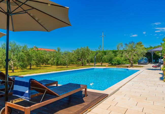 Villa in Pinezici - Design Villa Benka with heated pool in Istria