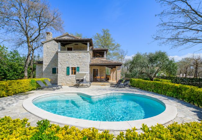 Villa in Banki - Villa Elaya with private pool in Tinjan, Istria