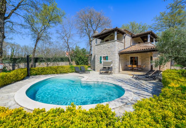Villa in Banki - Villa Elaya with private pool in Tinjan, Istria