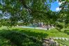 Villa in Srebrnici - Villa Stella Polaris with pool in Visnjan, Istria