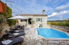 Villa a Tinjan - Casa Antignana with pool in Istria