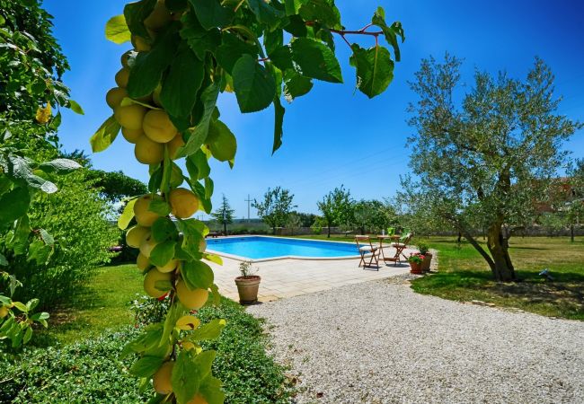 Villa a Pinezici - Design Villa Benka with heated pool in Istria