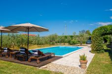 Villa a Pinezici - Design Villa Benka with heated pool in Istria