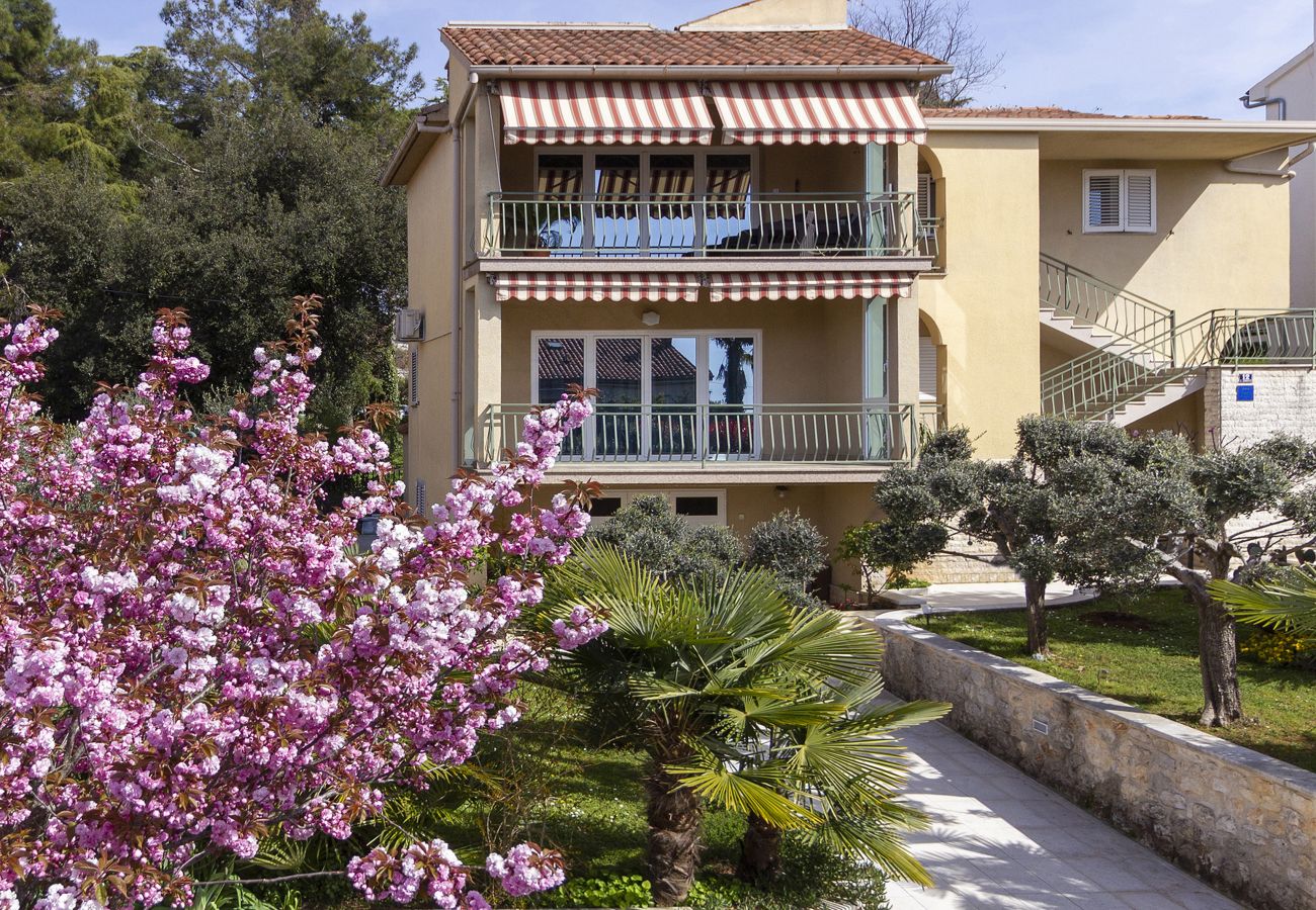 Apartment in Porec - Apartment Saša in Porec