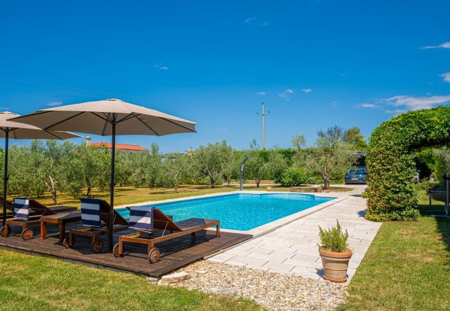 Villa in Pinezici - Design Villa Benka with heated pool in Istria